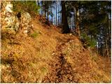 Tržiški graben - Planina Javornik